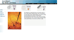 Desktop Screenshot of hubel.med.harvard.edu