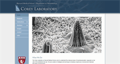 Desktop Screenshot of corey.med.harvard.edu