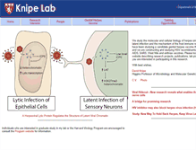 Tablet Screenshot of knipelab.med.harvard.edu